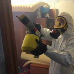 Уничтожение клопов в квартире. Алдан